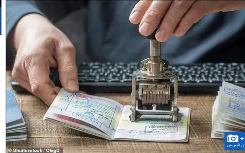 قبل عمرة رمضان.. إجراءات تجديد جواز السفر عبر مكاتب الجوازات في المحافظات